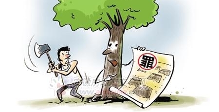 ������֤�ɷ����Լҡ���ľ ���̰˸��²�����