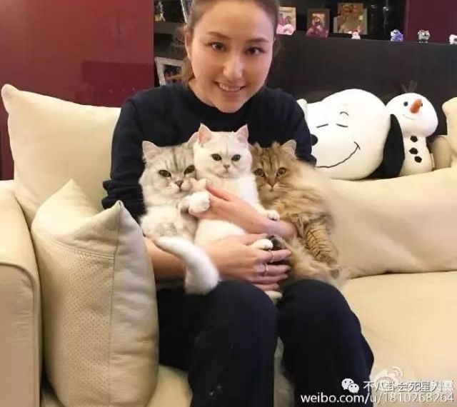 ���Ƕ�����̫Ů������������������˽��Ů������·��̯��59Ԫ����