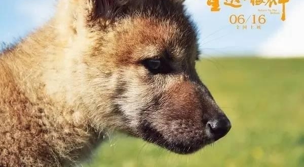 ���ܿ��Կ����������Լ����������Ƽ��Ĺ���Ƭ