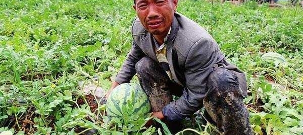 ũ������ֹ�, ��������Ϸŵ��������չ�