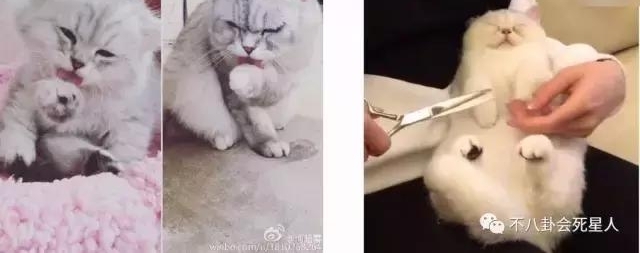 ���Ƕ�����̫Ů������������������˽��Ů������·��̯��59Ԫ����