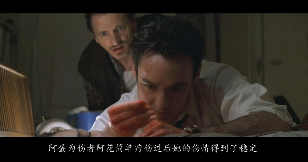 ���������ݡ�����ֲ����ɣ����������������룡