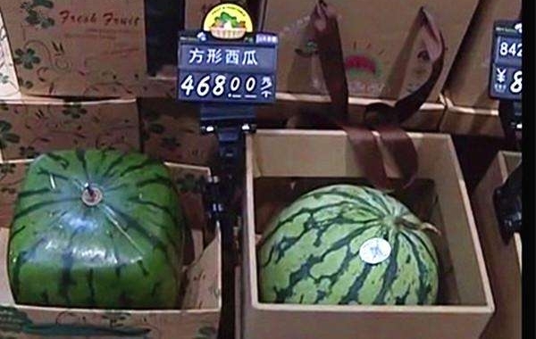 ����ĳ�����֡���ۡ���������, һ��468Ԫ!