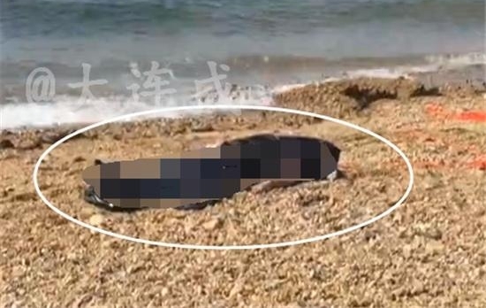 �����Ǻ��庣����Ư��Ůʬ 24��Ů��ʧ����������