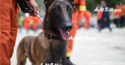 �����ϵ�����սʿ�����ӿ��������� �Բ������Ѿ�