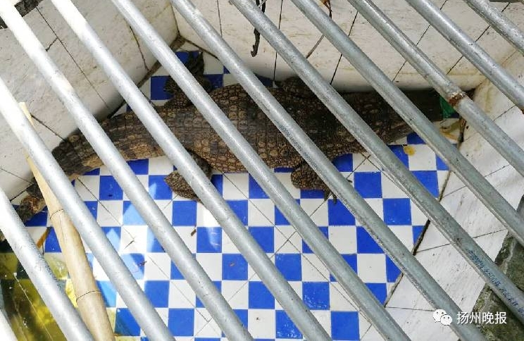 �����������¡�����������20������మ��ÿ��Լ�ᶼ���������֡�����ҩ��,̫���¡�