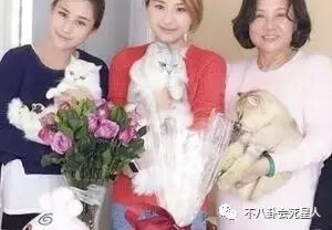 ���Ƕ�����̫Ů������������������˽��Ů������·��̯��59Ԫ����