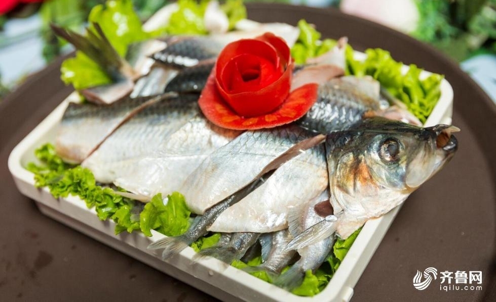 ������ֻ�˹���ֳ�����Ľ���ӭ����һ���ꡱ����