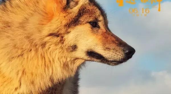 ����Ȯ�ǿ����ⲿƬ�ӣ����ȡ����ν��5���ÿ�1000������