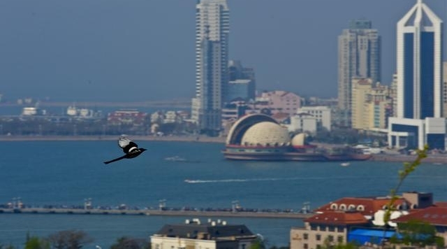 �Ƽ�����8���ʺ����εĵط������������⺣̲������ʳ����