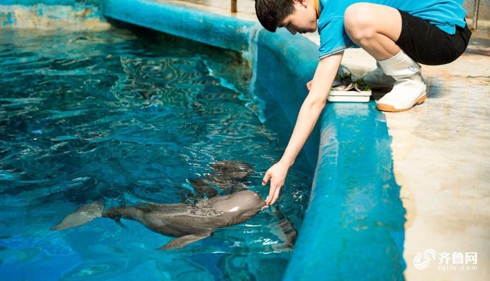 ������ֻ�˹���ֳ�����Ľ���ӭ����һ���ꡱ����