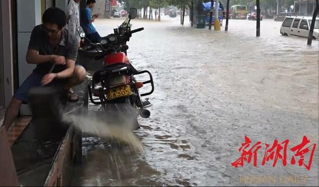 �׳��������������