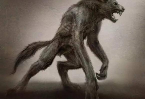 �����Ұ�����������ʷ����а�ŵĵ�Ӱ����