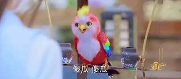 �����Ǵ�������BUG����������С��������Ҳ������Ϸ