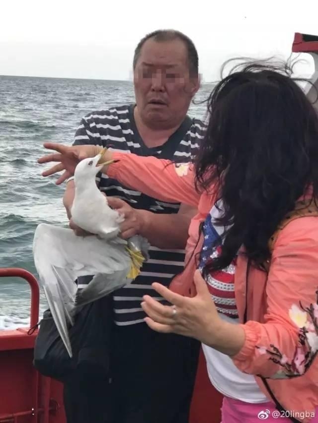 йοΪձץ˺Ÿ ŭ