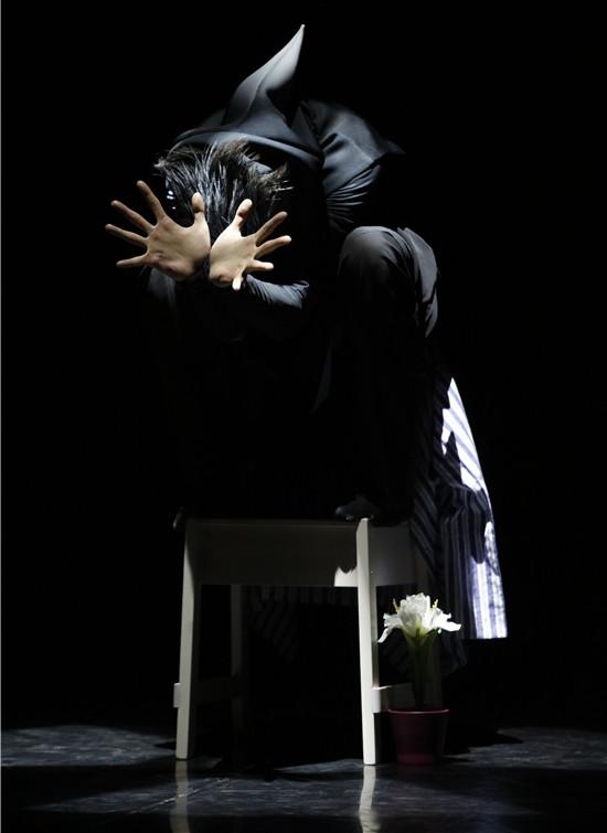 2017�й��赸ʮ���� ���껪������ʢ��