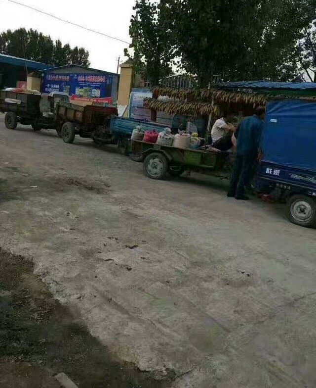 С���ո���ֱ���� �������˼����ֳ���Ƭ��