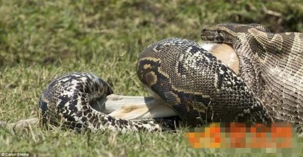 �ؿ�ζ������������ֻ��������Ӱʦ���������ˣ�