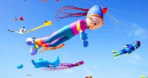 �����������Ʒ�� Ϋ���˾�Ӧ����ô����