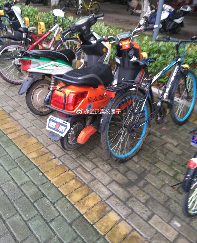 �����綯����½�人������У԰��ĳ�ɫ�籩��Ϊ��У���صķ羰��