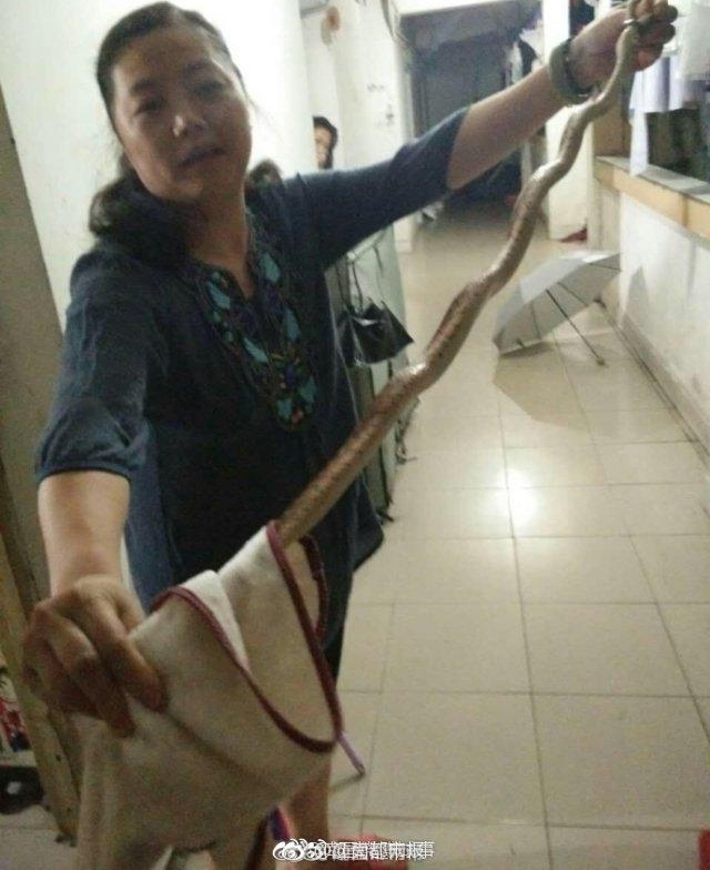 Ů��ʦ������ҹ�� ���ѣ��������ҵ���ʦ