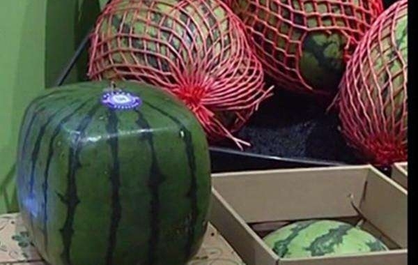 ����ĳ�����֡���ۡ���������, һ��468Ԫ!