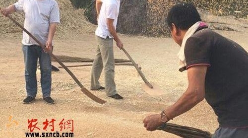 ��μ����������ׯ��ƶ���������и��ð���