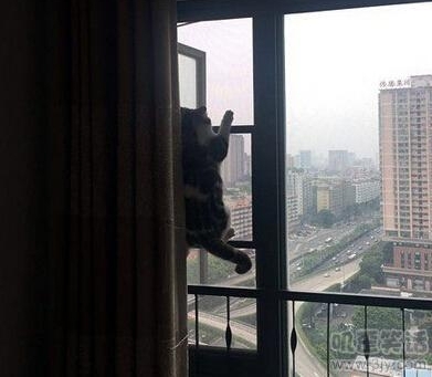 Ů��˯�����ֻ����յ��к�����һ����Ϣ