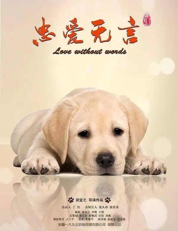 ����ָ�ϣ������Լ���ʱ��ѡ��һ�����ʵ�ӰƬ��