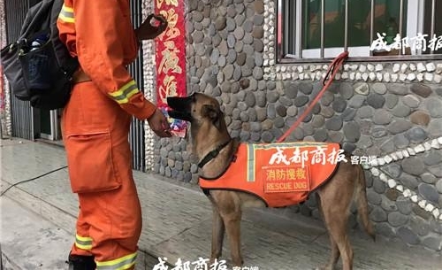 �����ϵ�����սʿ�����ӿ��������� �Բ������Ѿ�