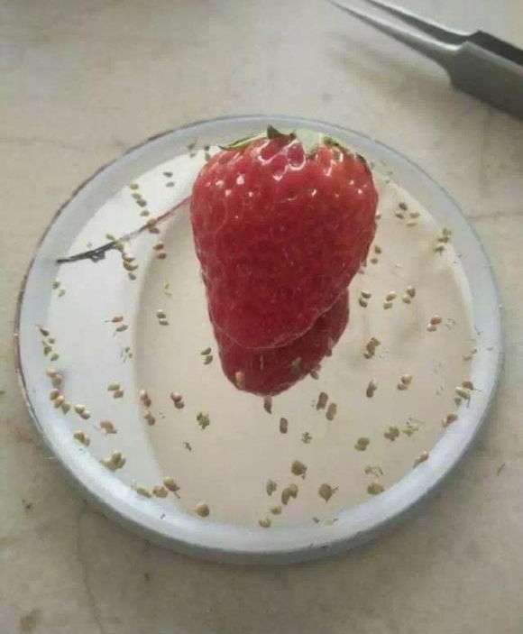 �Ի������⣬�뷨�����