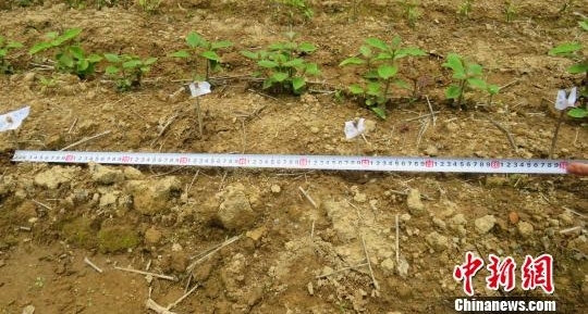 ������ӹ��Ҽ���Ȼ�����������ƽ�Ǯ���㼣