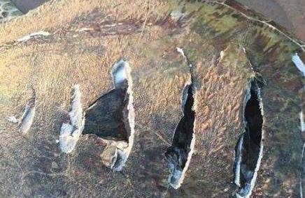 ���˺��걻���ϰ����˿��������Ʊ���������