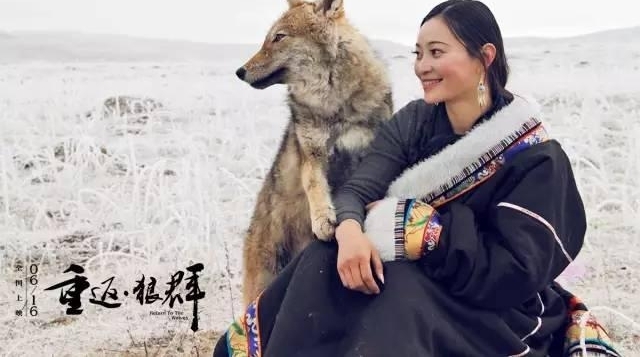 ���ܿ��Կ����������Լ����������Ƽ��Ĺ���Ƭ