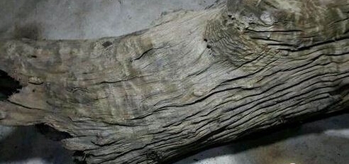 ����ɽ��·�����ⷢ����Щ���أ����������Ͻ���