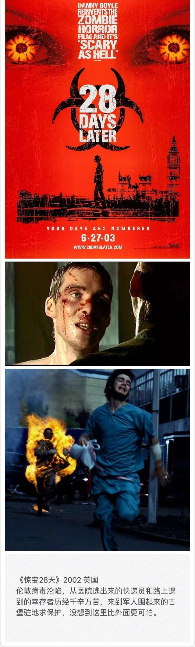 8��ĩ����Ϯ��Ӱ �������ٿ����Կ��ꡭ