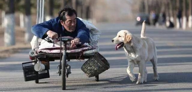 ����ָ�ϣ������Լ���ʱ��ѡ��һ�����ʵ�ӰƬ��