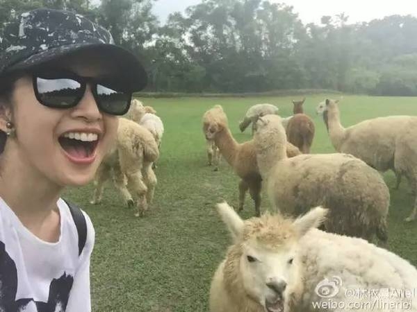 ���Ѻ���Ū�ޣ���֣Ԫ������ˣ�35����������Ů��