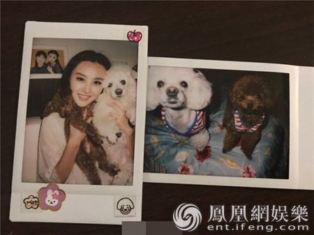 ��¶�ڼ�ɹ�ȳ� ����ȴ�Ǻ������Ƭ