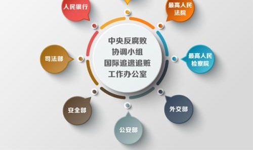 ����׷�Ӱ���������꣺��������ͨ��Ա������41��