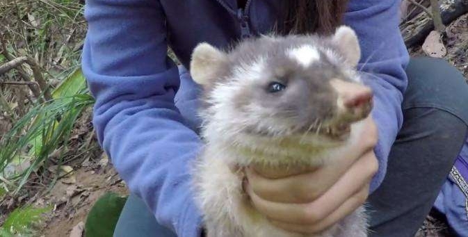 ũ����Ů������ץ����ֻ����, �������ֻ��ѡ�������