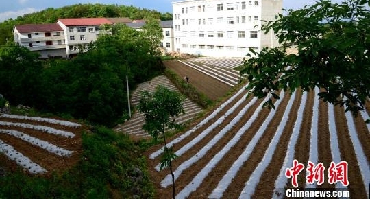 �ô�������š��¸�����һ��פ�幤���ӵķ�ƶ��ʵ
