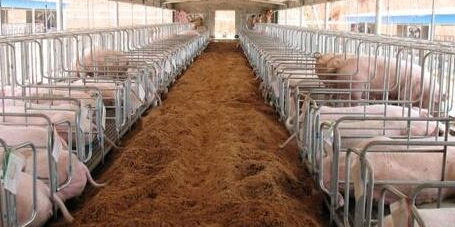 ũ����ֳ��ҵ�����¶��򣬹����ص���ֵ���4����ֳҵ���ʳ�¯��