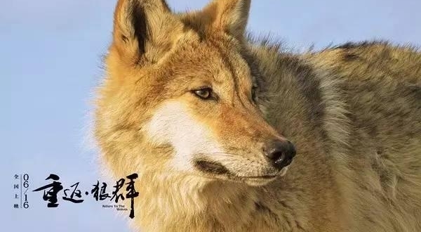 ���ܿ��Կ����������Լ����������Ƽ��Ĺ���Ƭ