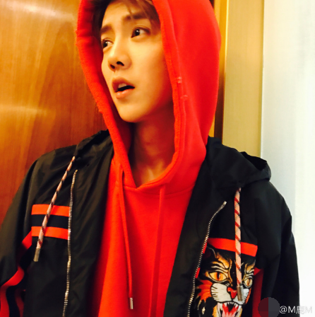 ����ɹ�����Ծ�ѡ���� ¹�ϳ����籩���¼�������