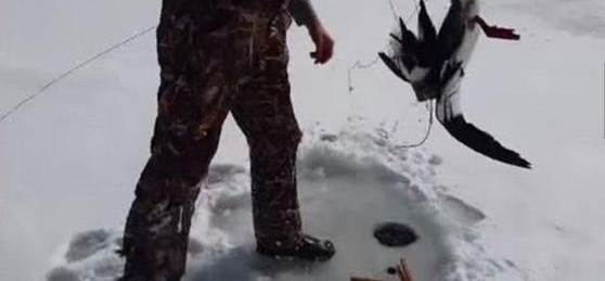 �����ڱ���ʱ��������һ�����첻���˲����һ����