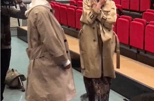 ��ԲԲ�������ߺ��������Ҷ��ӣ�������ż��͵͵��ע��������Ӯ��