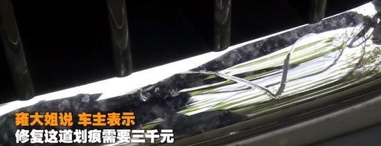 ����������β䱦����, ������1000���ɷ���������