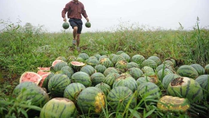 ũ������ֹ�, ��������Ϸŵ��������չ�