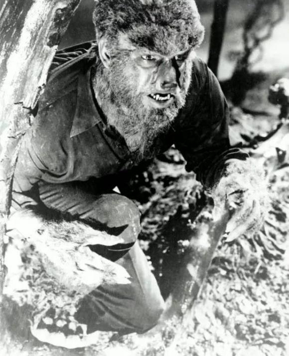 �����Ұ�����������ʷ����а�ŵĵ�Ӱ����